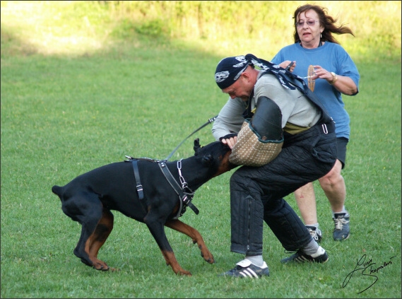 Summer training camp - Jelenec - 2007